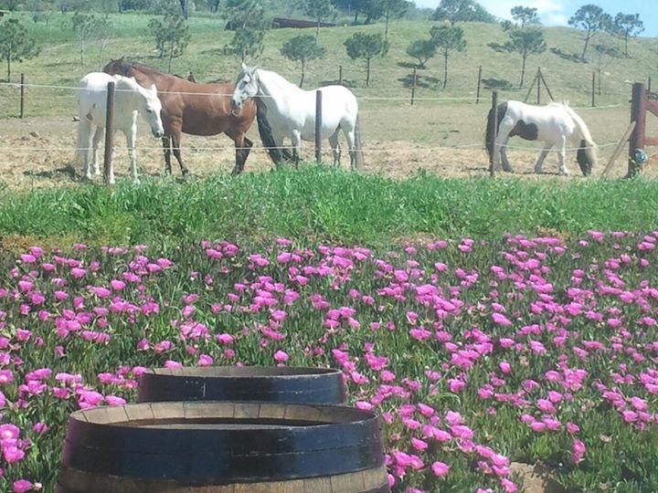 Affittacamere Relente Casabermeja Esterno foto
